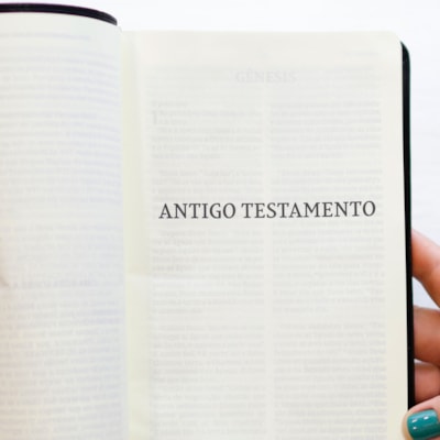 image_39d1bdd1-1ea1-48a8-a0c3-d69617aa1d59