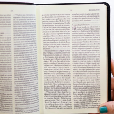 image_2ef29ed4-7488-43f3-808f-8a5fbbc35bcd