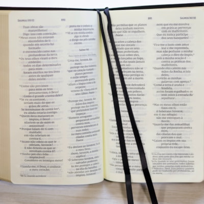 image_7438e8f9-1407-4788-8803-03cba6825b55