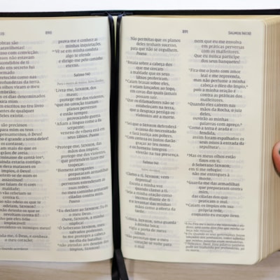 image_f2360870-1953-464a-8643-7a6fc86e4814