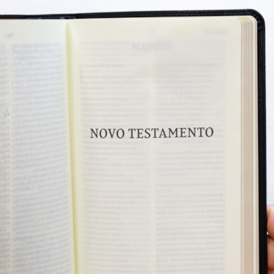 image_e258ed16-ba37-4f44-a791-f81b96d16acb