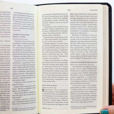 image_51278f06-b4da-4298-8f19-60fcdb93e881