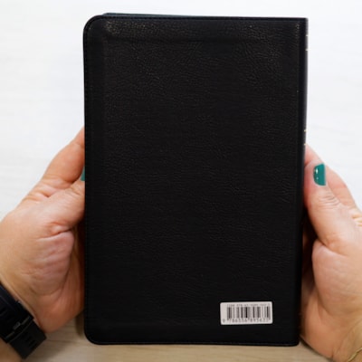 image_04b4e93d-8337-468f-aaca-975d1b17ffc3