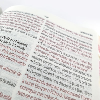 image_a632dd3b-42ab-45ce-a378-07b1ddae84cf