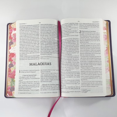 image_6ead7198-0668-4c74-8425-aa823a56bcfd