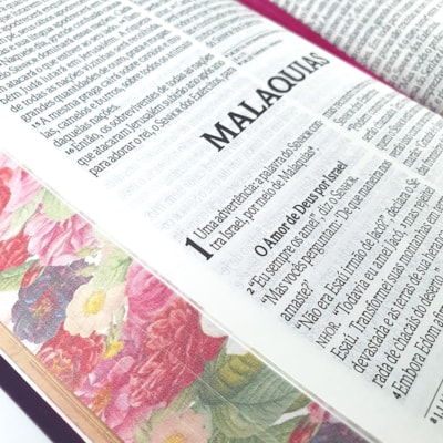 image_60479448-ea29-4dd9-83a3-d2c5da4a6e25