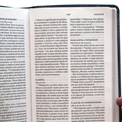 image_c852716e-6e90-476e-bbad-52560a103605