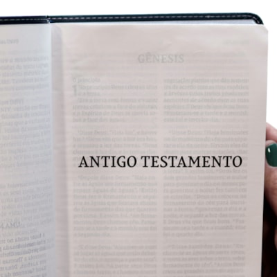 image_79084927-bbcb-4ee7-a149-76dd1638c79c