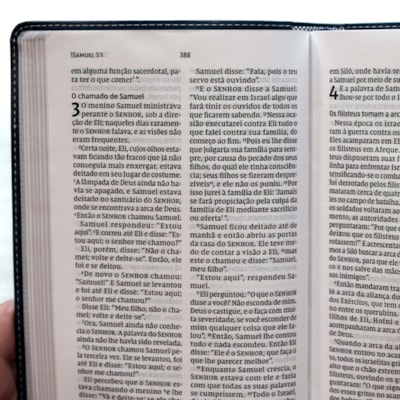 image_4f4ba28e-050f-477b-8f65-c6c9c8f73672