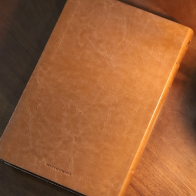 image_1842b29a-62bb-4d38-a959-c2fe6266c450