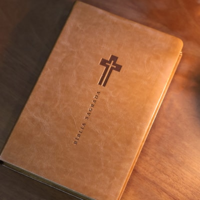 image_dcb4274f-35ee-465a-b0ca-37c6a36061fd