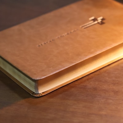 image_329bd721-6896-43e7-9017-3660080856e8