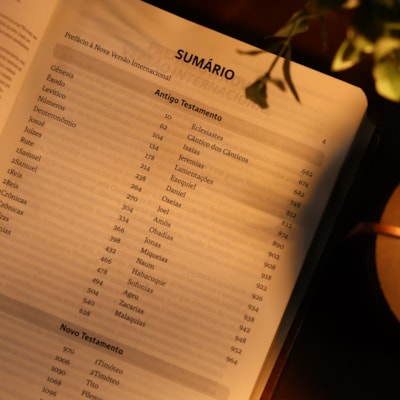 image_5a9892af-fda1-44f6-a0d4-3ec04b3230e5