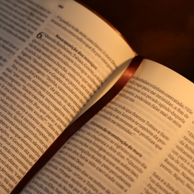 image_2e1352ea-5853-48f3-ba39-7556ad8b47b3