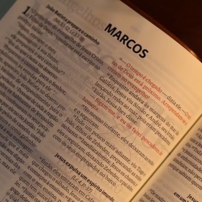 image_bab53c66-c252-4345-948f-9753193341bf