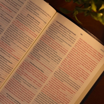 image_15832ee8-c319-447c-b944-d50e2be164ce