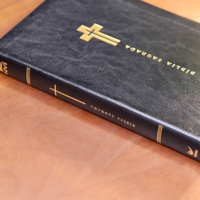 image_44aab165-e0cb-4140-9c09-0dfd05ea71a1