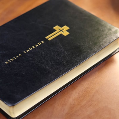 image_597419d4-7f66-4b06-92d4-88c7c6b19413