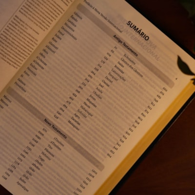 image_78d58f29-ab22-4e35-ae48-19e4c24e3f5c