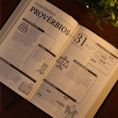 image_43115817-765b-468b-8b86-f0bfe055f44e