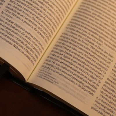 image_56f024af-2bea-44eb-8f98-6c4d39564728