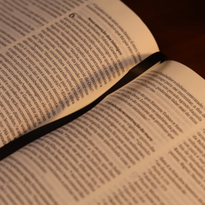 image_d09aa3bc-d75d-461c-a9b2-18ac2101b85c