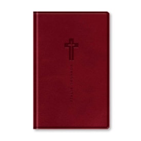 Bíblia Sagrada | NVI | Letra Grande | Vinho