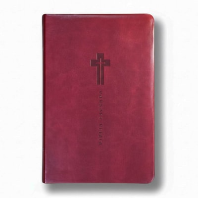 Bíblia Sagrada | NVI | Letra Grande | Vinho