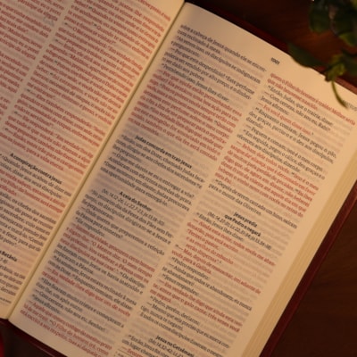 image_af117b47-e38c-4ae5-a850-072c272b25ca