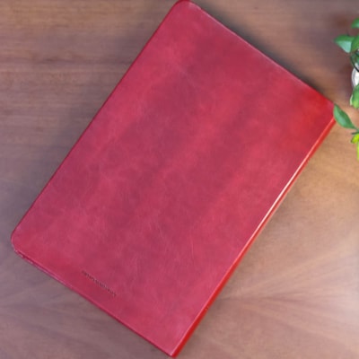 image_469357fa-f3a5-4a67-a5cd-815696d44563