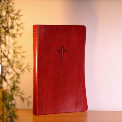 Segunda imagem do produto Bíblia Sagrada | NVI | Letra Grande | Vinho