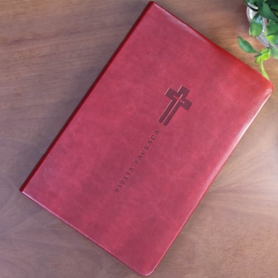 image_938984d0-6f87-4658-b605-644e57cbe475