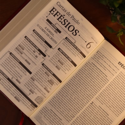 image_83ba1fd8-5e6f-483f-8405-d8792da54dfd