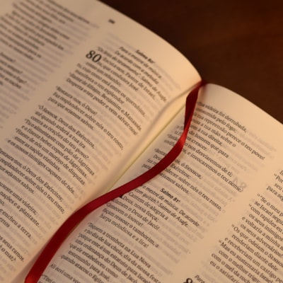 image_6b0c22ff-e002-4fae-b098-541b5f3a42f2