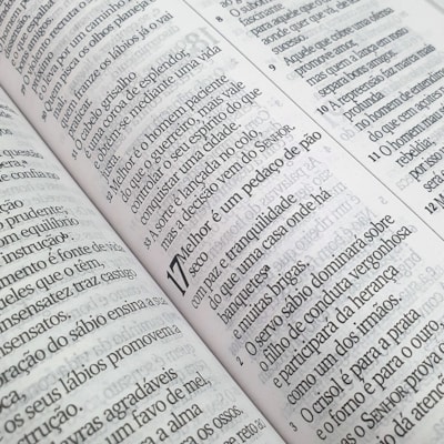 image_2b4b421b-2572-4944-9793-72ad3fd633ad