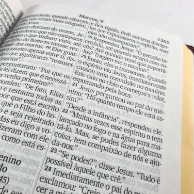 image_78f086ff-22b7-47e9-81b0-9d56530e4172