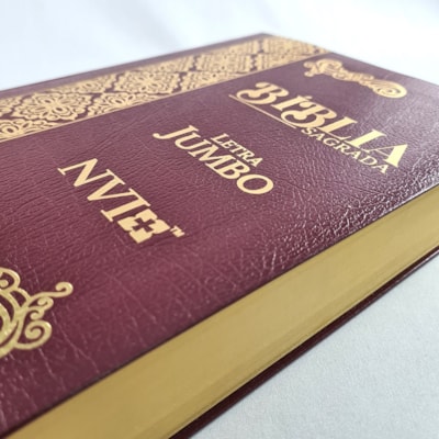 image_6e81af31-5c6e-4d7e-bba7-7f354e2ede57