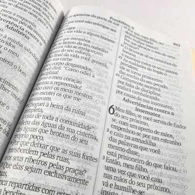 image_8992995f-997f-47b0-b5fe-975ae2f8e457