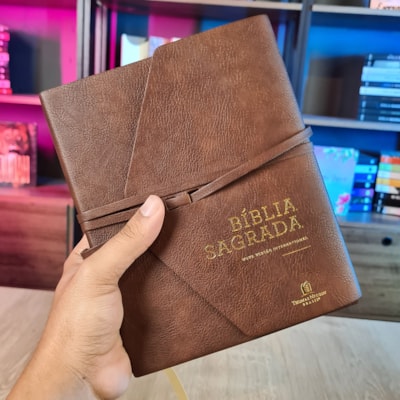 image_126825ed-cfc4-4866-b364-00ecb03f452b