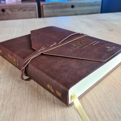 image_bdb0efc2-7a7f-4d09-b5ff-243b7e691858