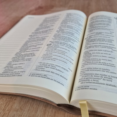 image_444b3afb-e17e-4fb5-9070-fcb7ae9a883d