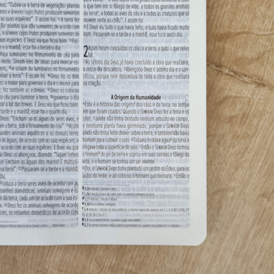 image_84d29b0b-8457-47f4-afb7-e3b164997ff2