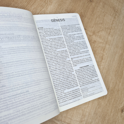 image_97547745-826e-4e67-98a0-93b42e6dbb06