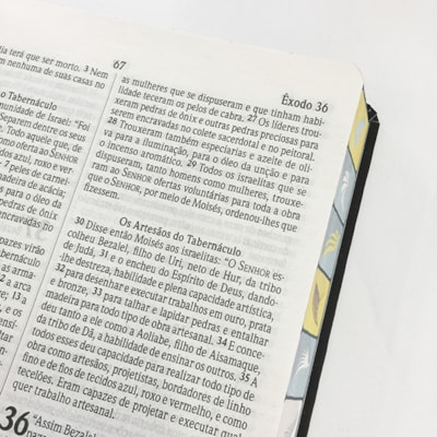 image_86b468ce-750a-4348-9982-25e7835f156e