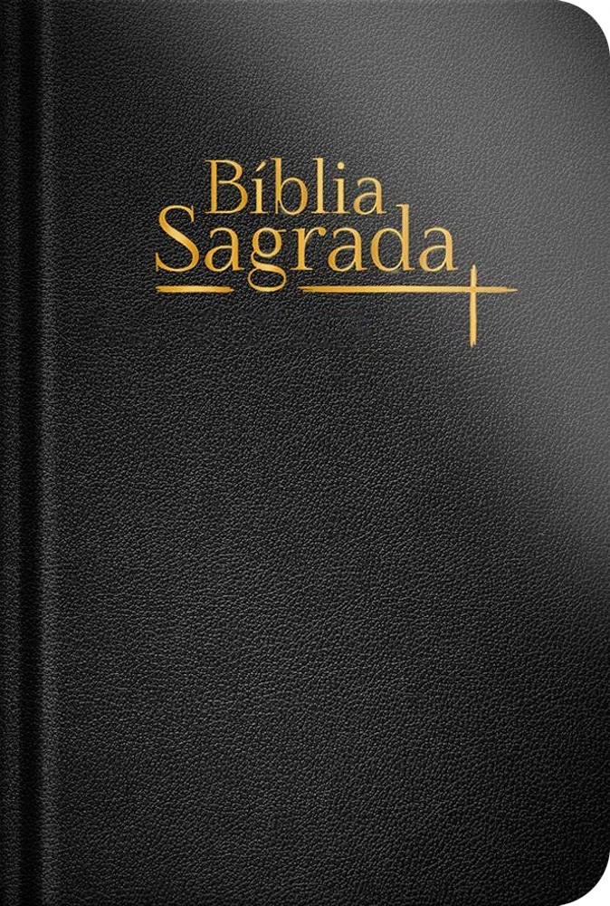 Bíblia Sagrada | NVI | Letra Normal | Capa Dura Luxo