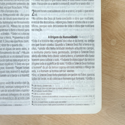 image_e4dd7cff-d125-4dfa-a909-7d5909088e2f