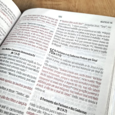 image_faf49875-6ef1-4945-9dd5-ba0a52c416b2