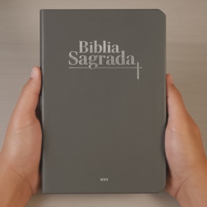 Segunda imagem do produto Bíblia Sagrada | NVI | Letra Normal | Capa Luxo Cinza