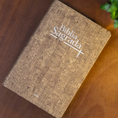 image_2b564076-39ce-45d5-9b81-63d8066dcaca