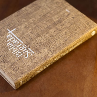 image_2db3855b-47dd-4138-b973-a7f1a06e797b